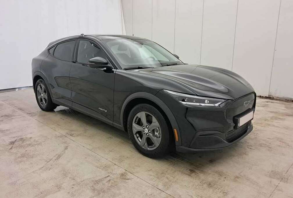 Ford /€18.999 netto / Leder / Camera / Navi / PDC /