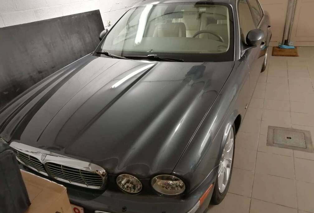 Jaguar