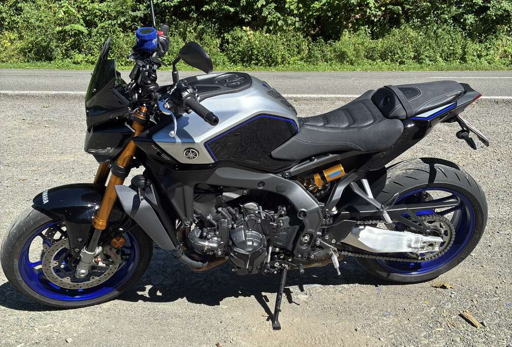 SP