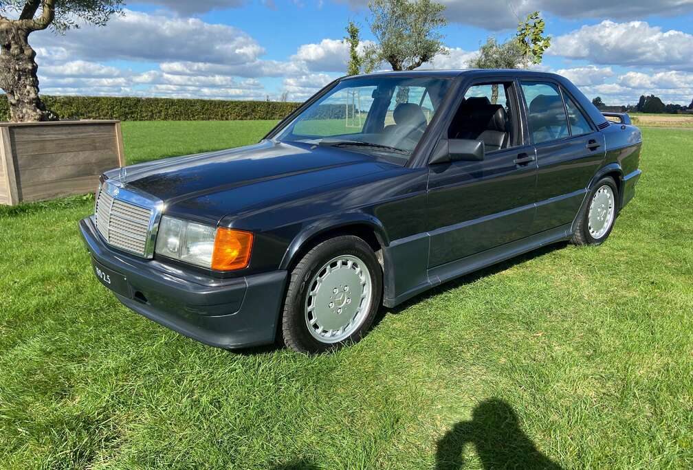 Mercedes-Benz 190e 2.5 16 klepper  - toptoestand