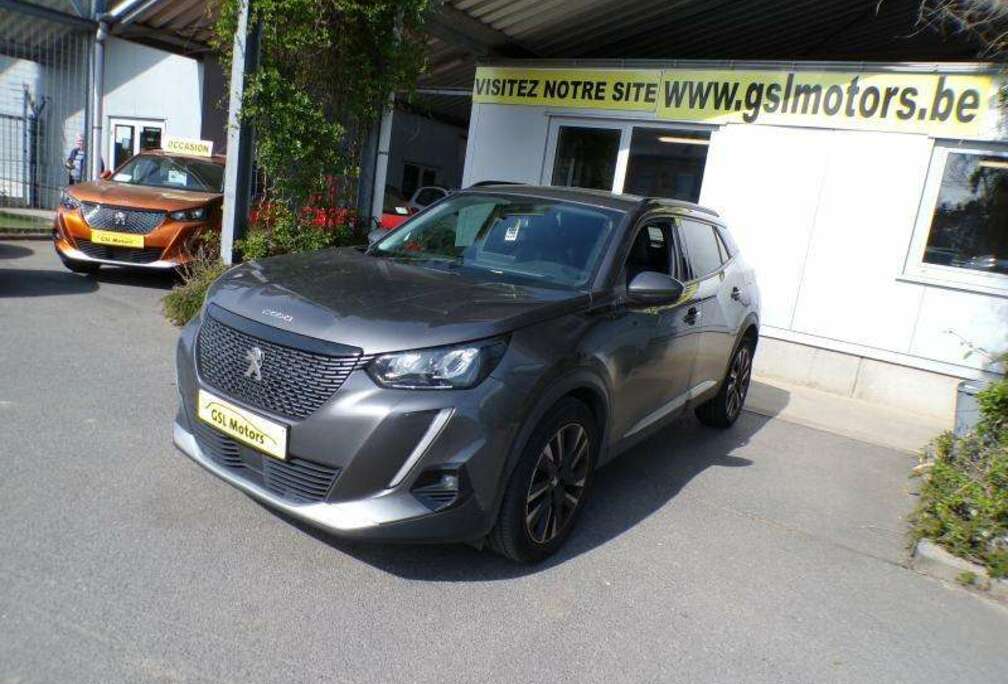 Peugeot 1.2 101cv Gris 03/21 47.534km Airco Cruise Camera