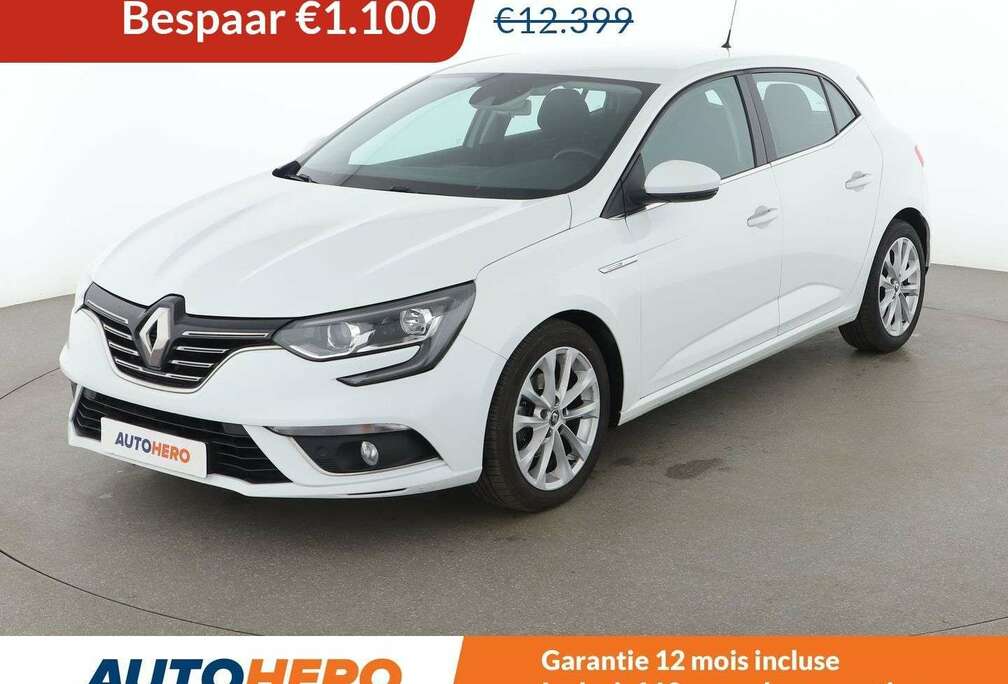 Renault 1.5 Blue dCi Duel