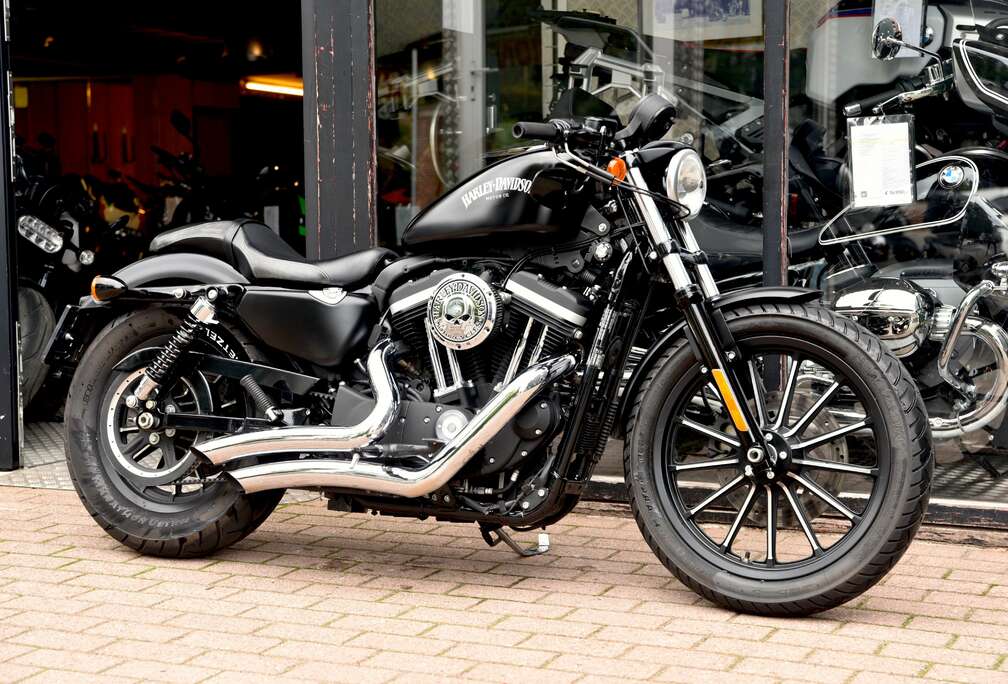 ***MOTO VERTE***