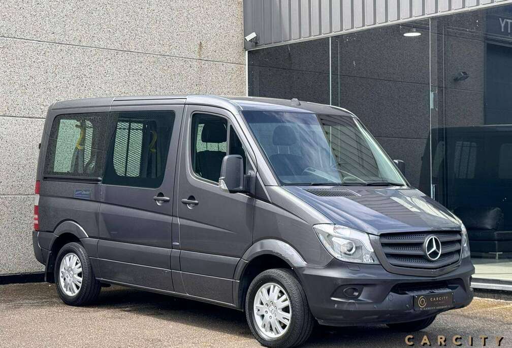 Mercedes-Benz Sprinter 316 CDI Bluetec.  AANGEPAST VOOR MINDERVALIDEN MET LIFTSYSTEEM  PISTONS UITSTEKENDE STAAT  NAVI  AUTOMAAT