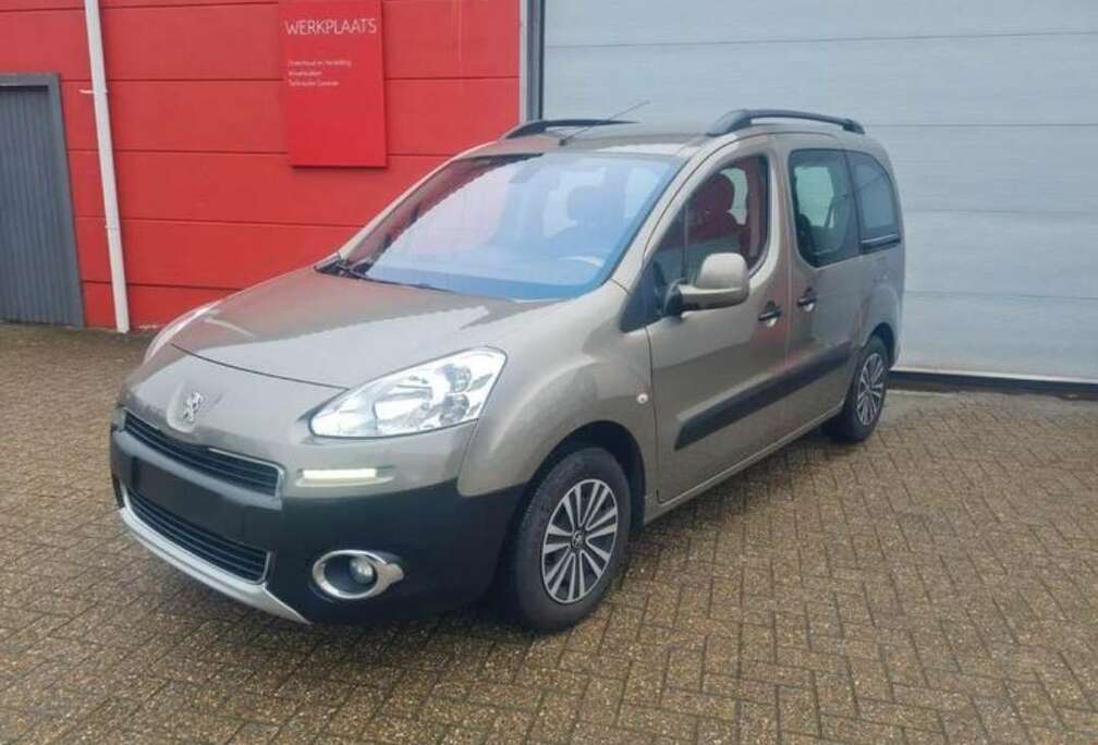 Peugeot 1.6i L1H1 Confort 120