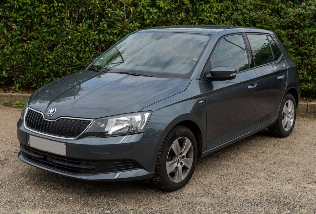 Skoda Fabia 1.0 TSI Ultimate Clever