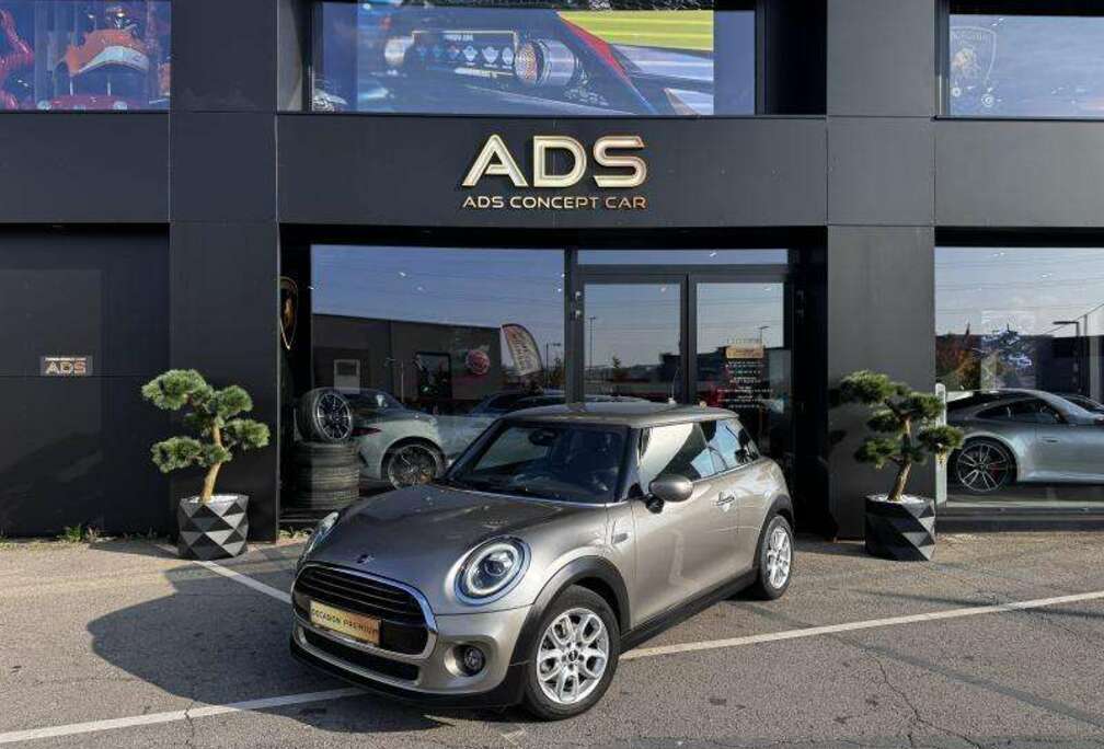 MINI 3