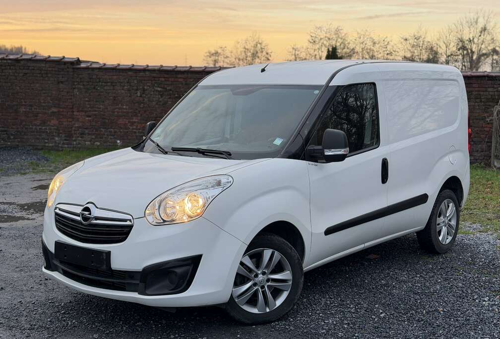 Opel 1.3 CDTi L1H1 (EU6)