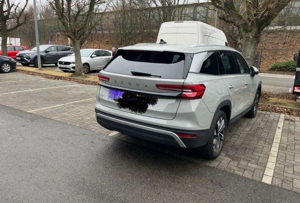 Skoda 1.5 TSI mHEV DSG Selection