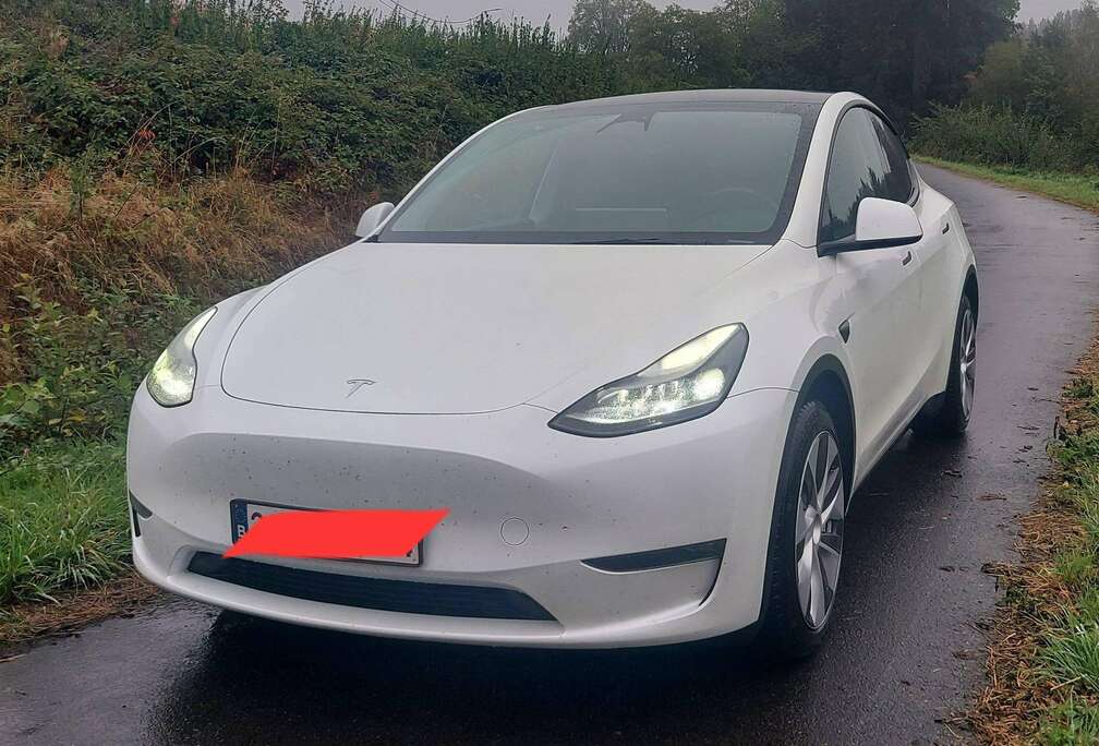 Tesla Model Y Dual Motor long modele 2023