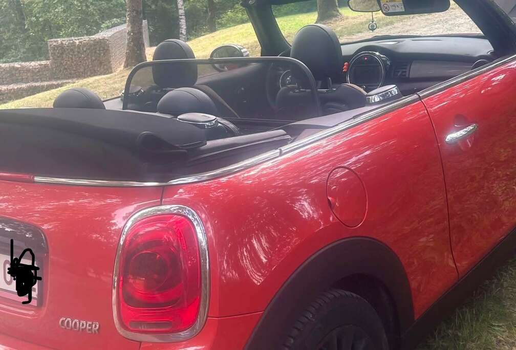 MINI WJ31