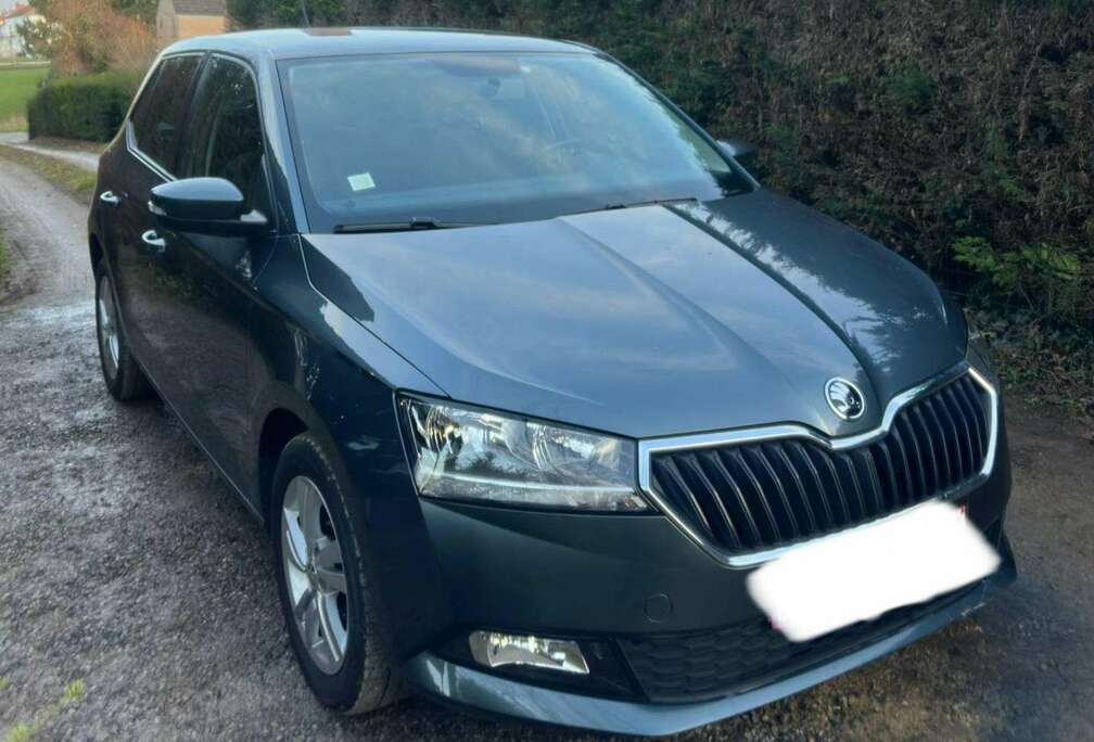Skoda 1.0 TSI Style DSG