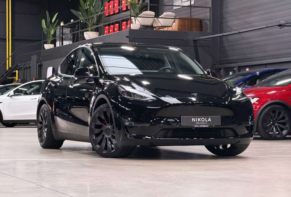 Tesla Performance - FULL SELF DRIVING ACTIVE - 21 WHEELS