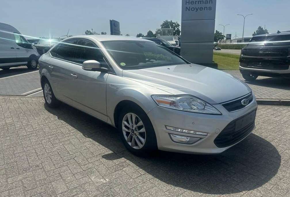 Ford Enkel voor professionele verkoop.