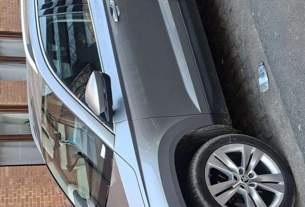 Skoda 1.6 CR TDi SCR Ambition DSG