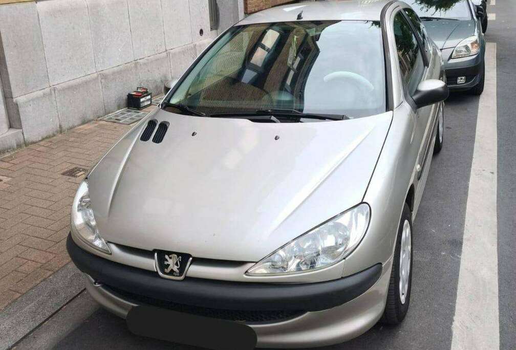 Peugeot 206 1.1i Enfant Terrible