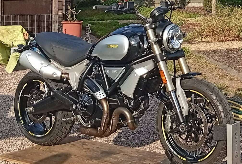 SCR 1100
