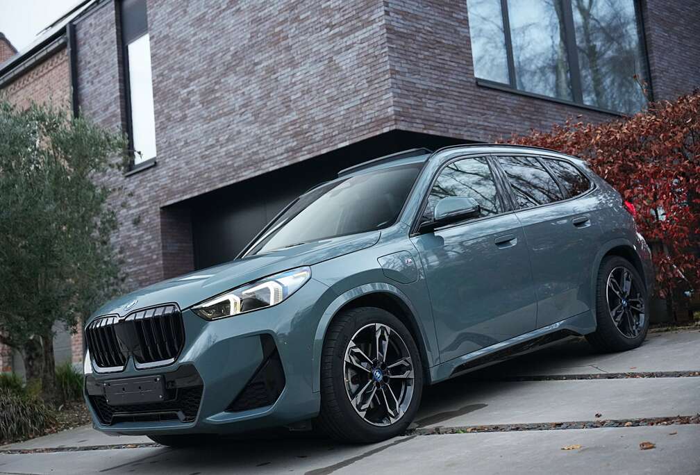 BMW xDrive30e M-Sport Full Pano/Leder/ACC/Zetelv/Trekh