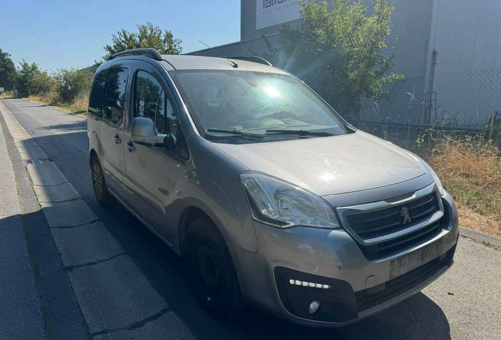 Peugeot Partner Tepee 1.6 BlueHDi Access