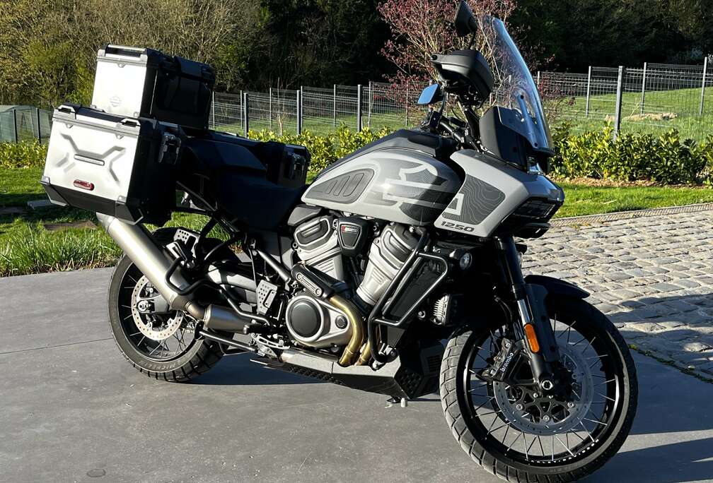 Special 1250 Limited