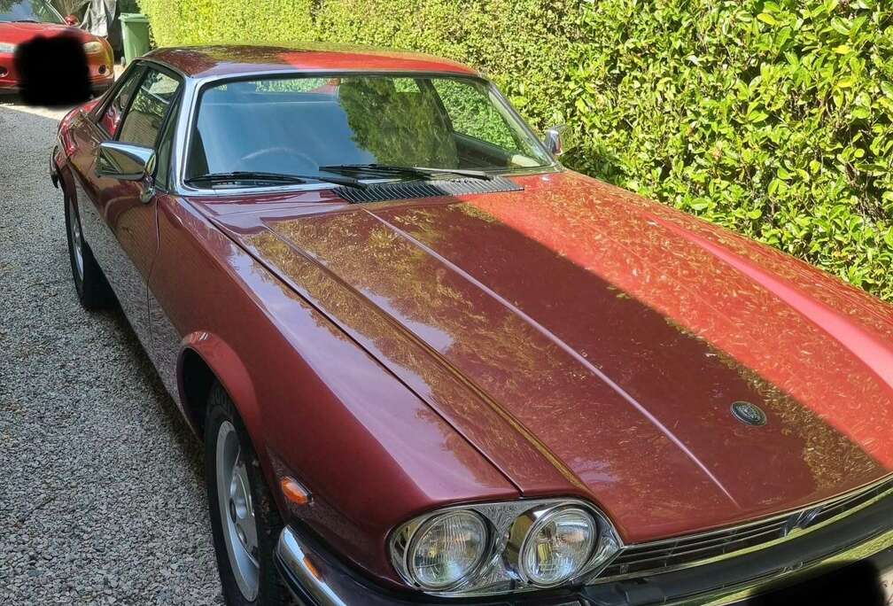 Jaguar V12 - RHD
