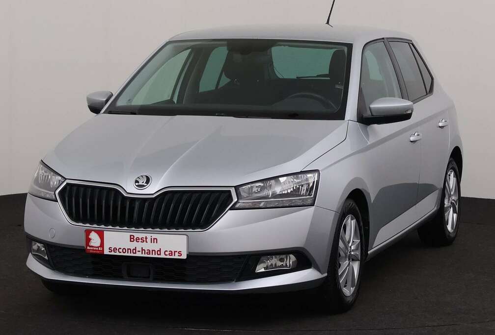 Skoda 1.0TSI - Manual