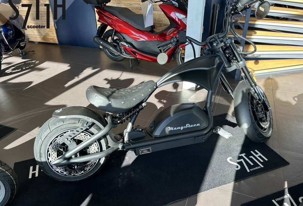 Andere  Mangosteen M1P E-Scooter