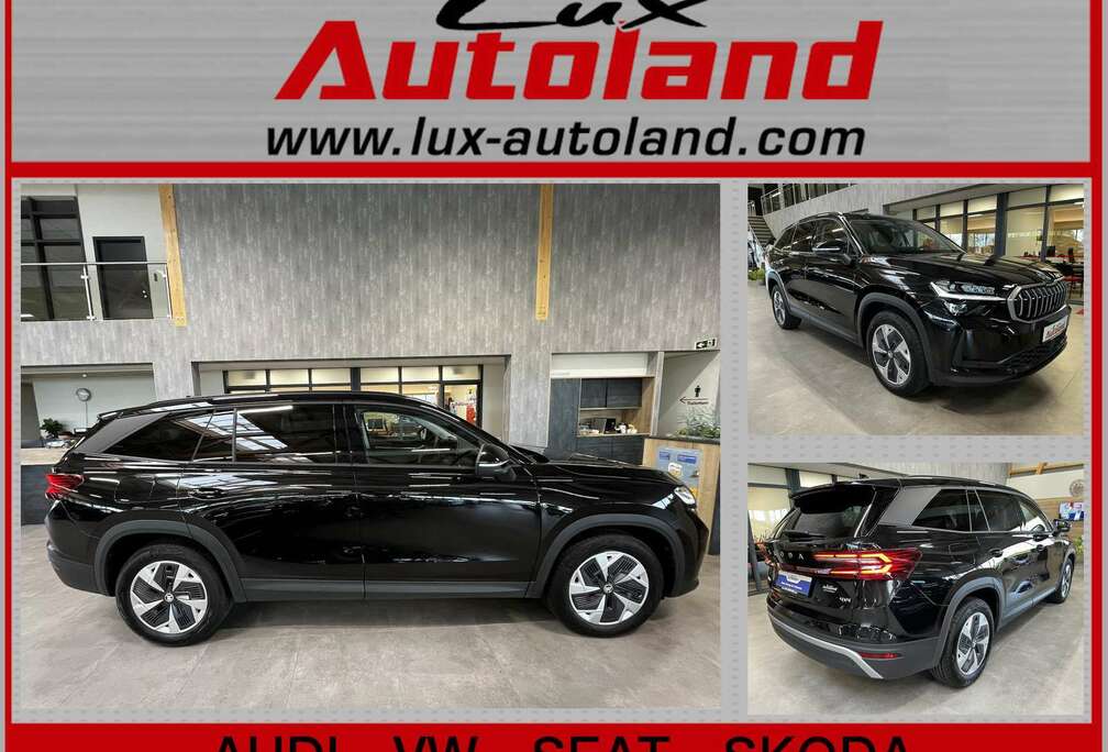 Skoda 2.0 TDI4x4 Selection*5JG*AHK*Leder*Matrix