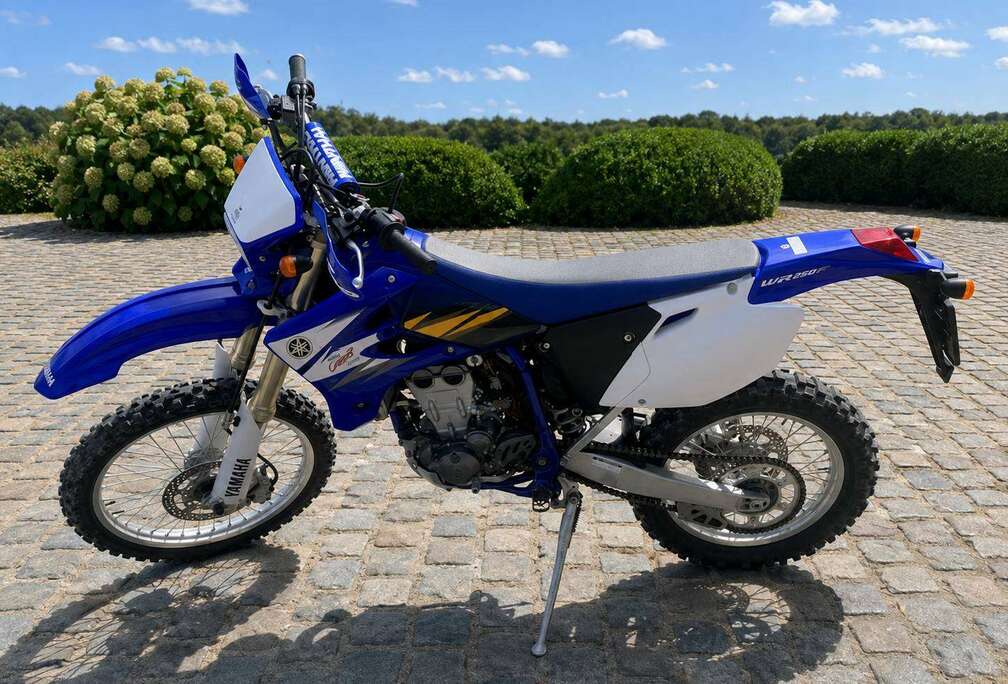 WR450F