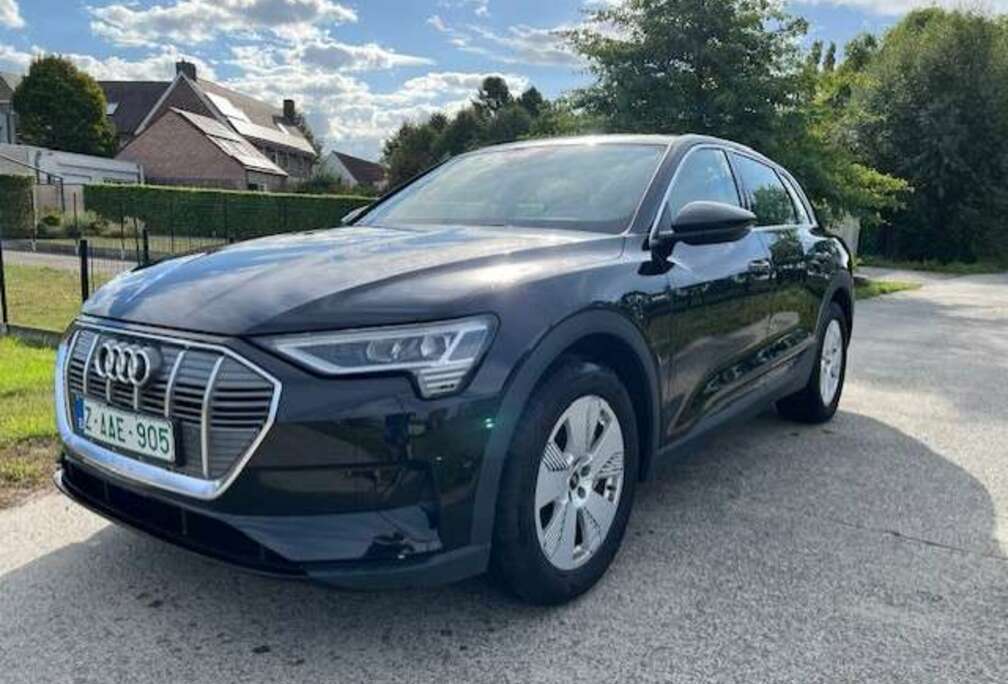 Audi E-Tron 95 kWh 55 Quattro Advanced *Navi*Cam*Lane*Keyless*Leder* BTW incl