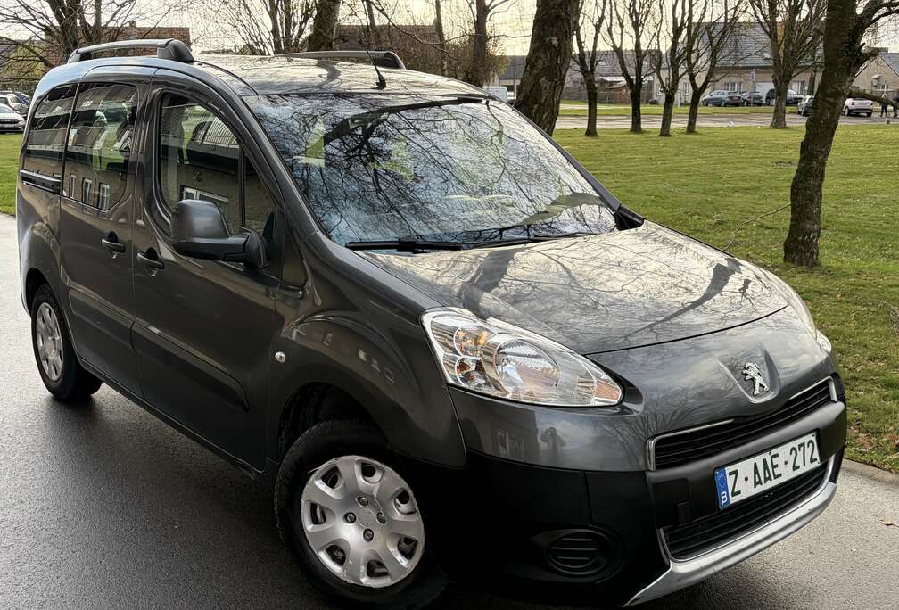 Peugeot Tepee 1.6 HDi Premium