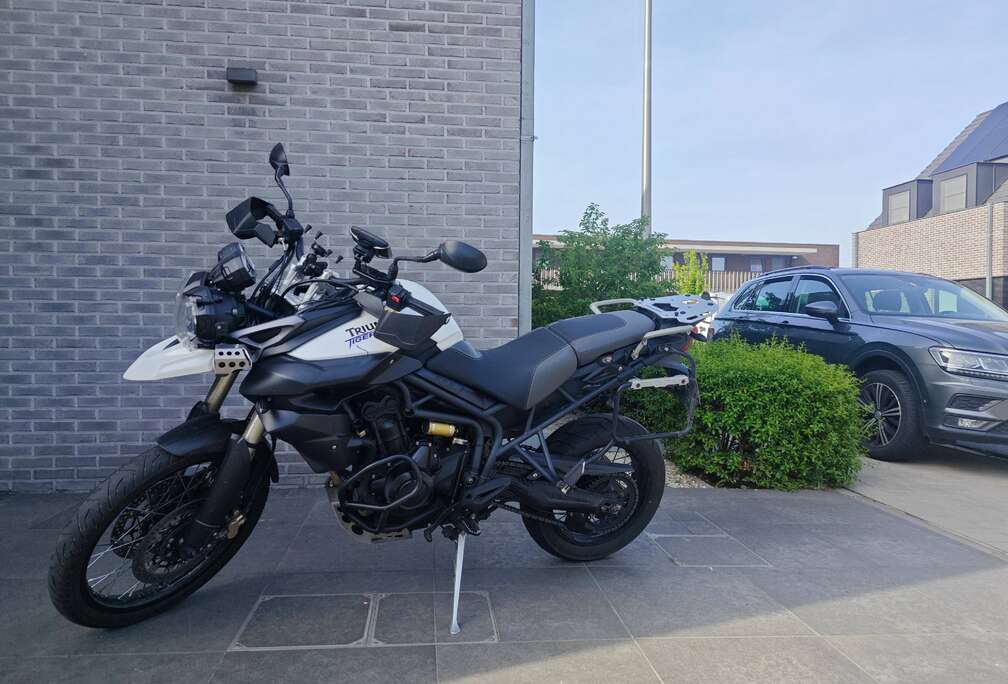 Triumph Xcx