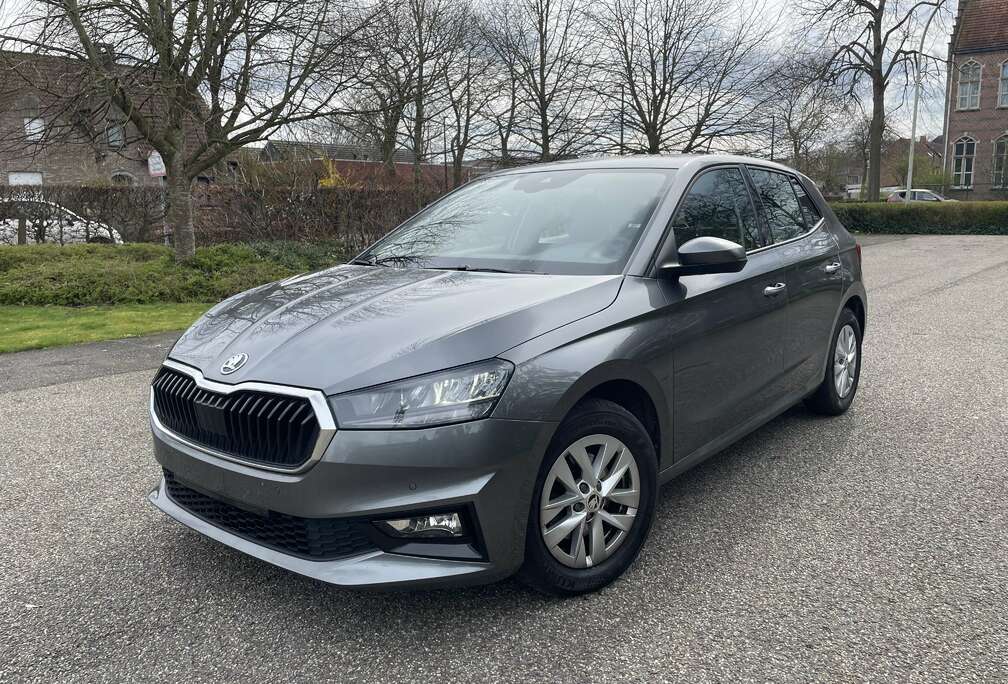 Skoda 1.0 TSI Corporate DSG