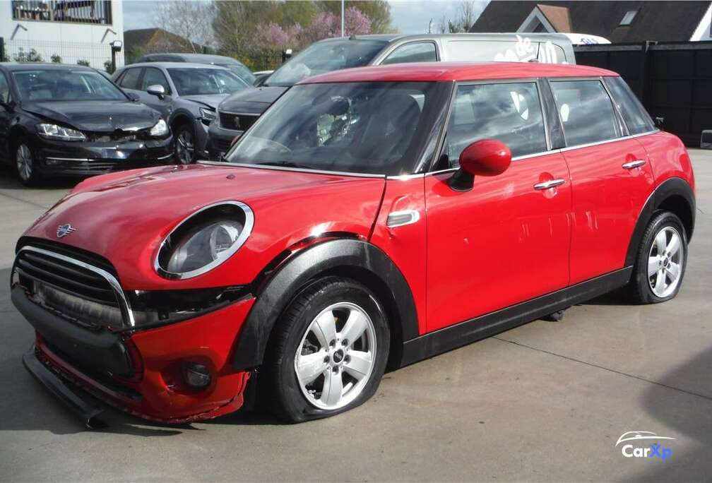 MINI Excitement Pepper II