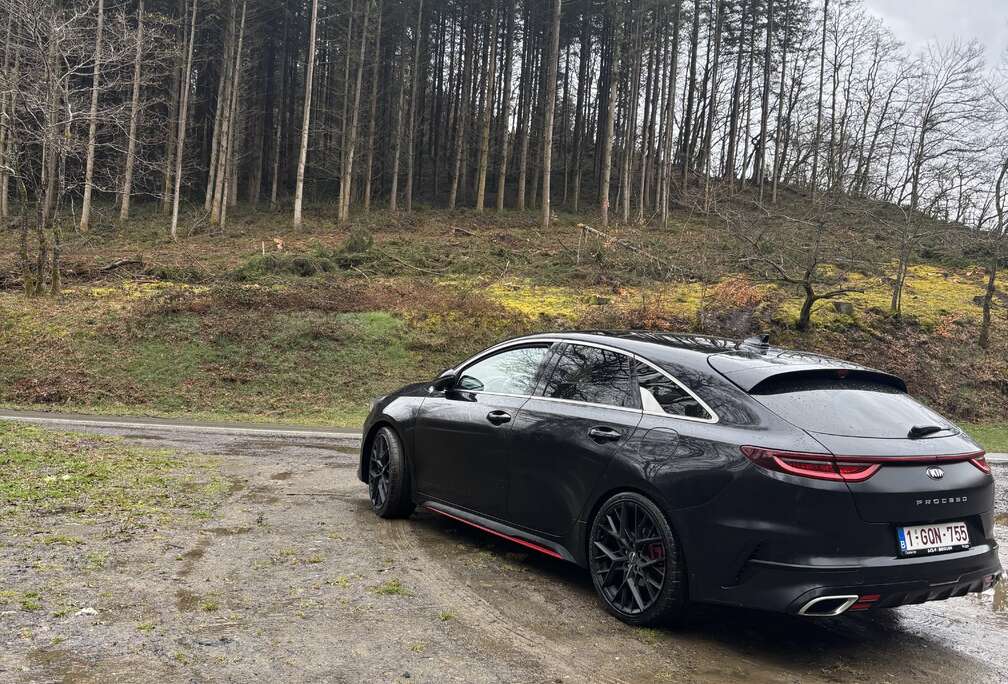 Kia ProCeed GT 1.6 T-GDi GT DCT ISG