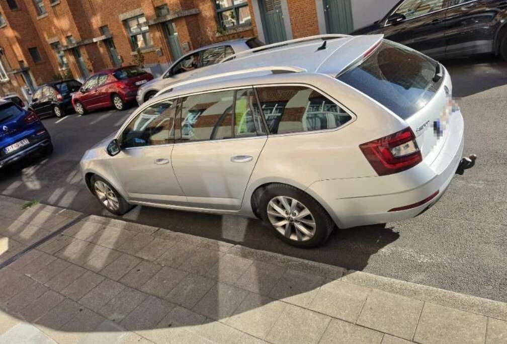Skoda SW 1.0 TSI Style DSG (EU6.2)