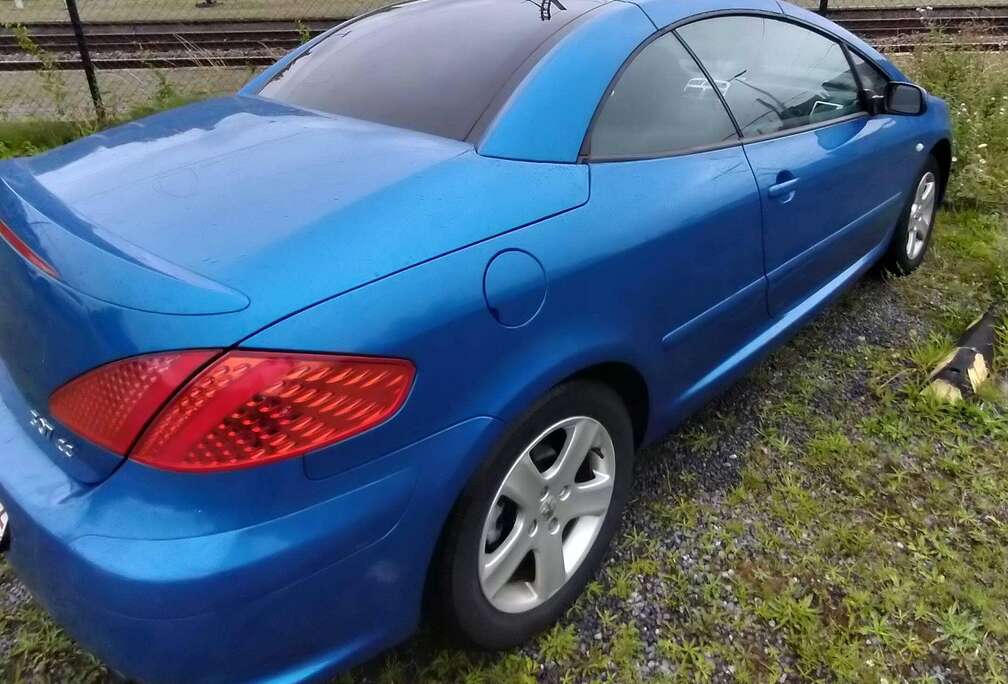 Peugeot 307 CC 2.0i 16v Dynamique 59.000 met car-pass