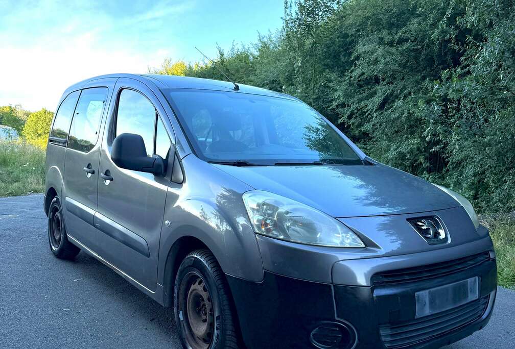 Peugeot Tepee 1.6 HDi Premium