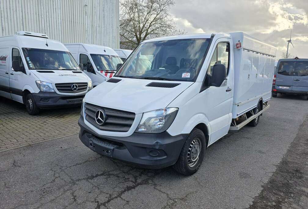 Mercedes-Benz 313 (Stock ID 52770)