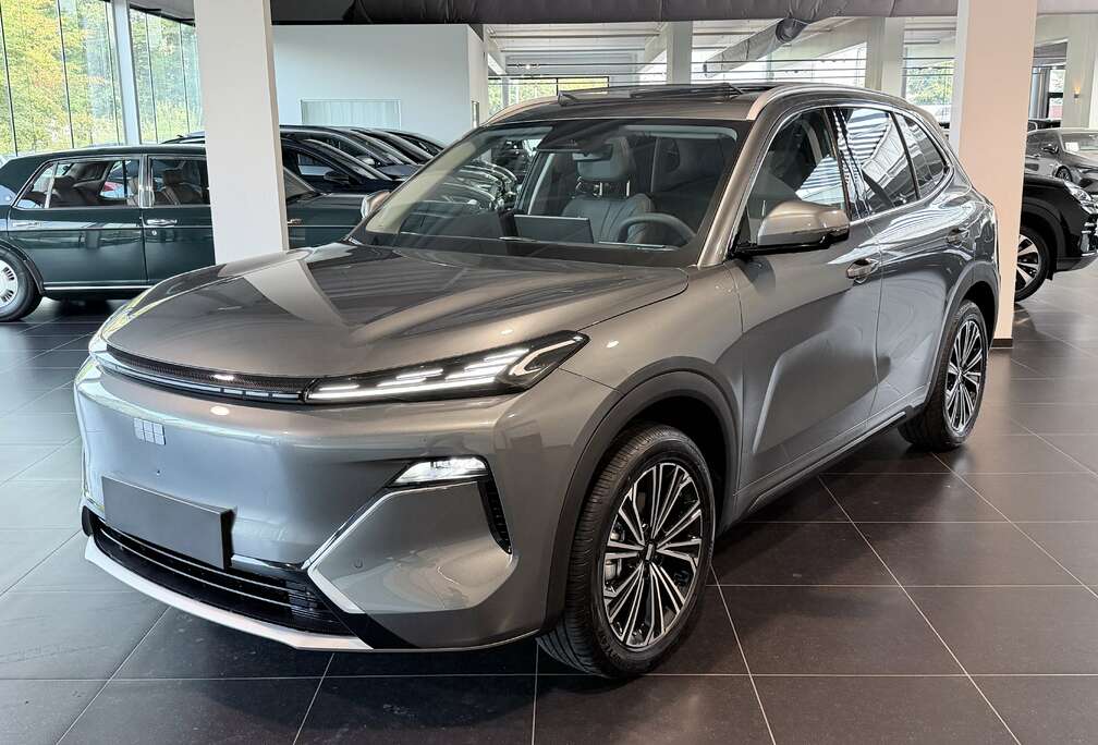 Andere  1.5 EM-i PHEV MAX+ / 136KM EV / Leder / ACC / PANO