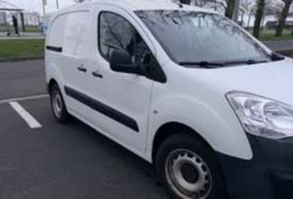 Peugeot 1.6 BlueHDi L2H1 Premium 121 S/S