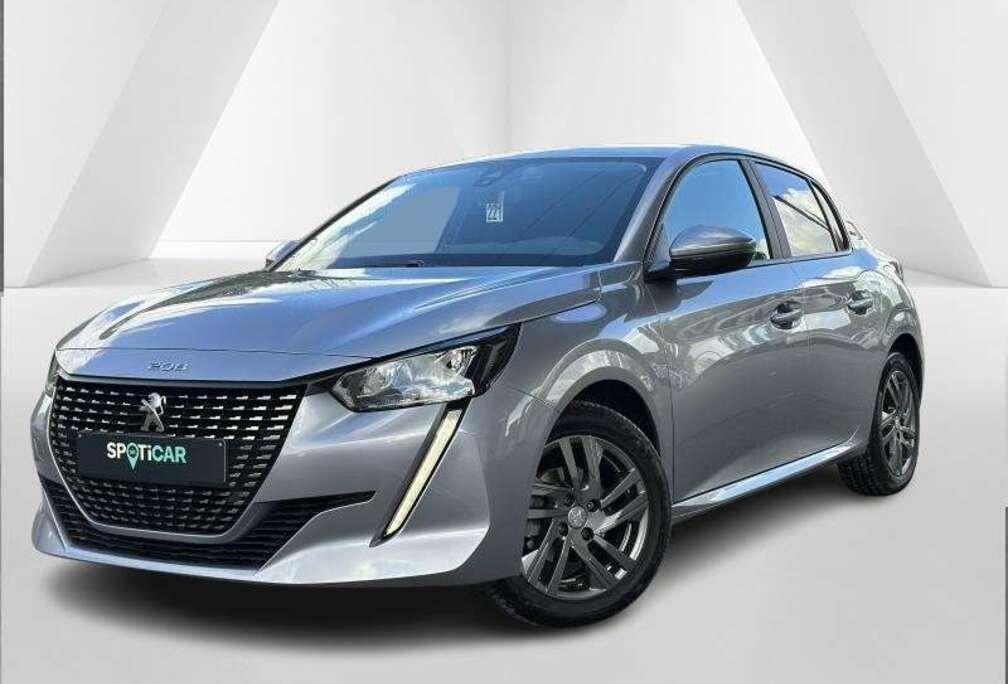 Peugeot Style