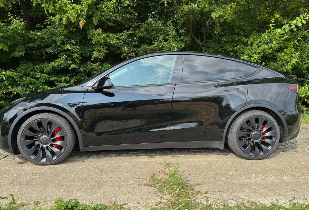 Tesla Performance (393 kW)