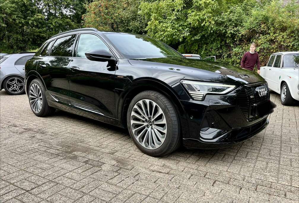 Audi 50 Quattro 2x S line Pano/Matrix/B&O/21’’