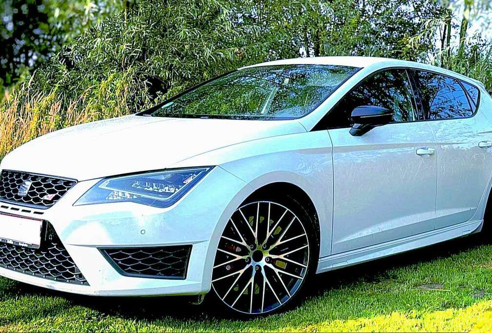 SEAT 2.0 TSI Start&Stop DSG Cupra 290