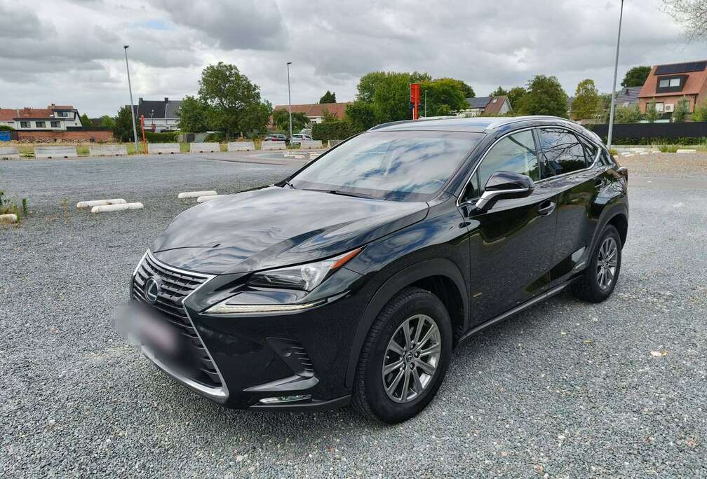Lexus NX 300h 2.5i AWD Business Plus E-CVT