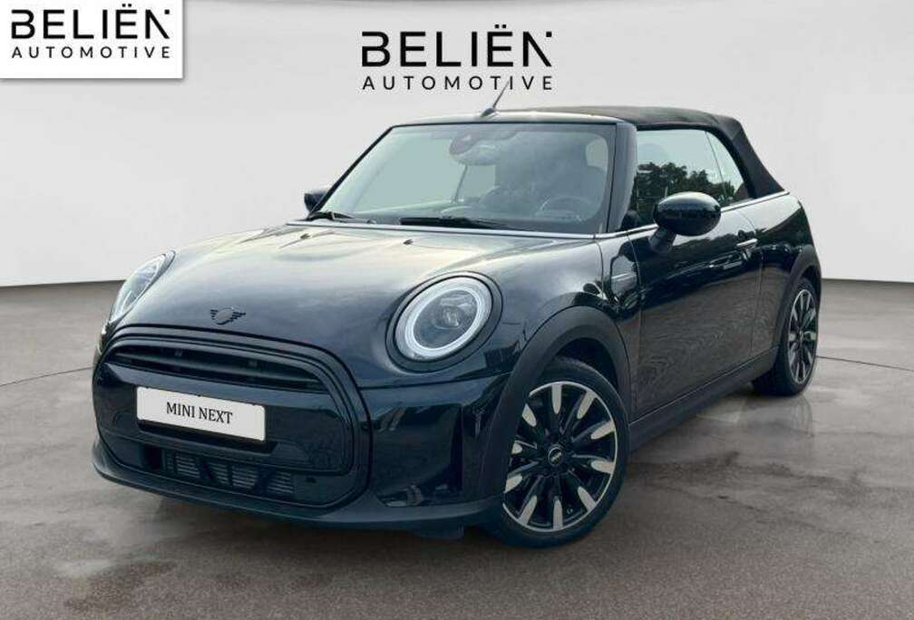 MINI Classic trim
