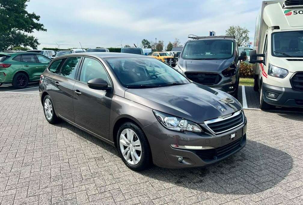 Peugeot Enkel voor professionele verkoop.