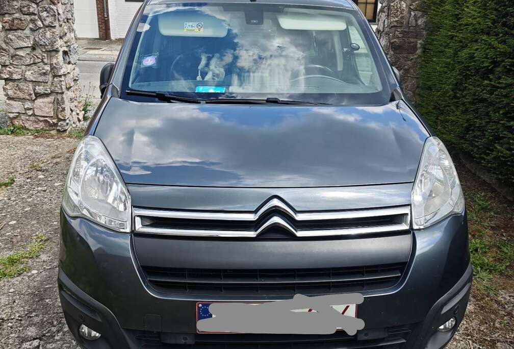 Citroen Multispace PureTech 110 S&S BVM5 Feel