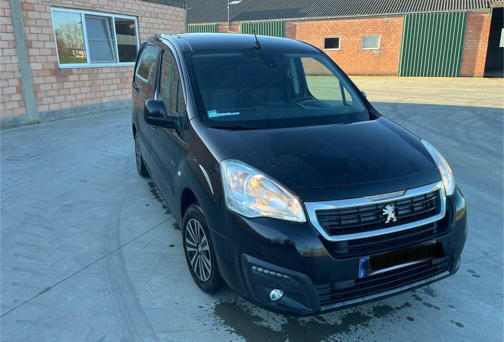 Peugeot 1.6 BlueHDi L2H1 Pro 121 S/S